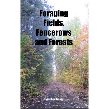Foraging Fields, Fencerows and Forests