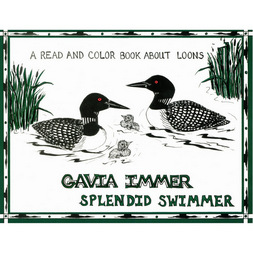 Items of Local Interest - Loons Gavia Immer Splendid Swimmer